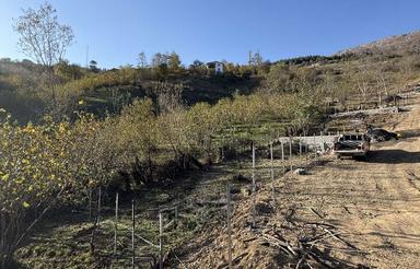 زمین با ویو عالی در جاده دالخانی