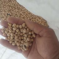 نخود تمیز زود پز