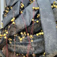 فروش لوله نخدار با شیر الات وینتوری و نایلون دوریه