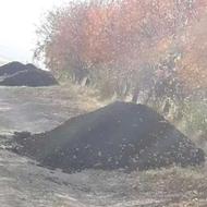 کود گوسفندی