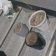 گلدون سرامیکی سه سایز سه رنگ