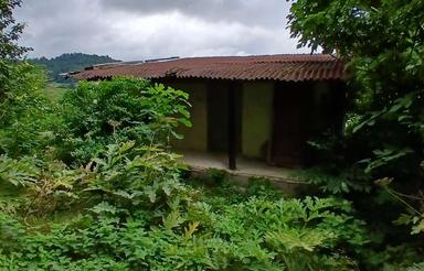 مازندران ساری چهاردانگه(شویلاشت) زمین مسکونی(خانه سرا)