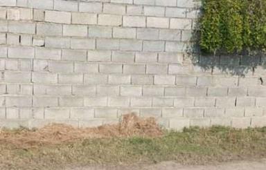 فروش زمین مسکونی 130 متر در روشندان