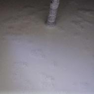 لبنیات . شیر خام دامداری