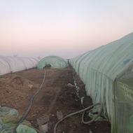 فروش زمین به متراژ 3 هزارمتر