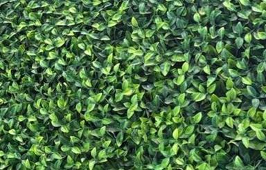 نیازمند واحد راه جدا برای سالن زیبایی هستم