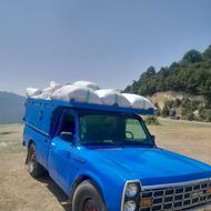 نیسان ابی مدل83