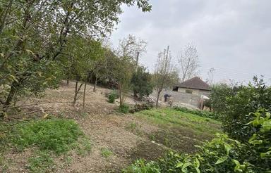 300 متر زمین مسکونی چسبیده به جنگل سوادکوه