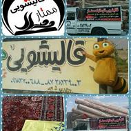 قالیشویی مبل شویی اتوماتیک ممتاز