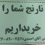 خرید نارنج و مرکبات