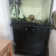 آکواریوم ماهی