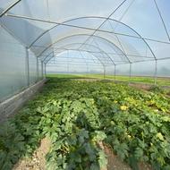 فروش سازه گلخانه