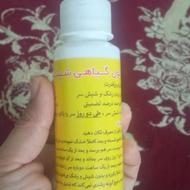 محلول نابود کننده شپش