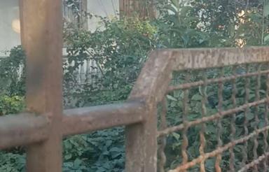 ویلای کلنگی حومه چابکسر سرولات