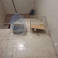 قفس پرنده نو