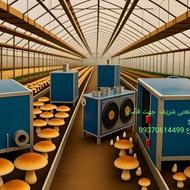 بخاری پرورش قارچ