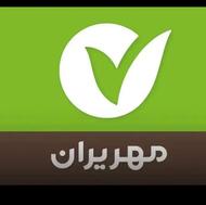 وام 300, میلیونی مهر ایران