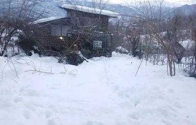 فروشیامعاوضهخونهجنگلی