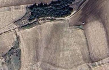 زمین کشاورزی واسه اجاره