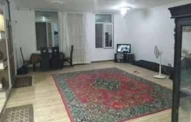 خانه دانه های روغنی