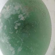 پاکسازی رشک وشپش