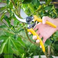 باغبان با تجربه هستم با 25سال سابقه کاری