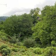 یک میلیارد سرمایه دارم