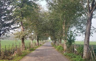 کاخ ویلا شخصی ساز