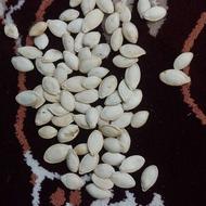 تخم کدو اجیلی خوی بوجاری شده