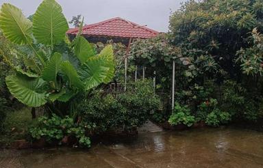 فروش ویلا 621 متر در جاده سیاهکلده