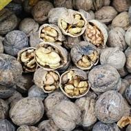 گردو مقز روغنی