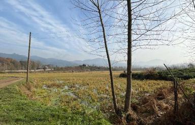 فرصت کم نظیر خرید زمین نزدیک لاهیجان و تالاب سوستان