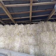 70 بسته کاه بسته ای 150 هزار تومان بسته های بزرگ وخشک