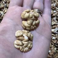 مغز گردو لوکس و درجه یک بادام شیرین یکدست