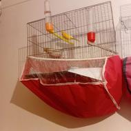 فروش قناری نر