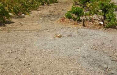 هزار متر مسکونی تجاری