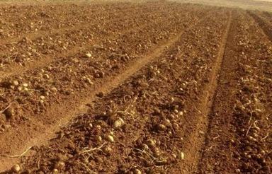 زمین کشاورزی