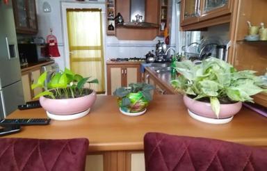 آپارتمان 105 متری واقع درکلارآباد خ شهیدشعبانی