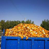 خریدار پوست نارنج یک کیلو به بالا برای دام