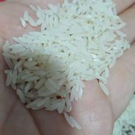 فروش برنج دوباره کشت بصورت نقدی کیلویی