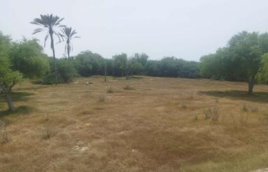 1968 متر زمین در روستای کندالو قشم