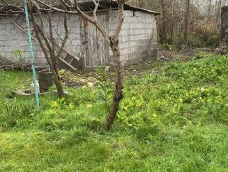 فروش ویلا 600 متر در مرکز شهر