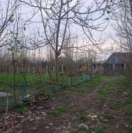 زمین مسکونی لاهیجان