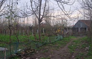 زمین مسکونی لاهیجان