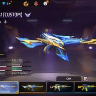 اکانتفرسفایر