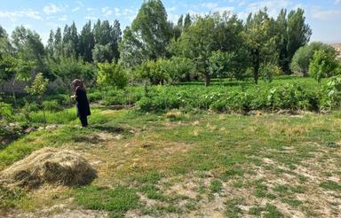 ویلا باغ 3 هزار متر با 190 متر ویلا نوساز مبله