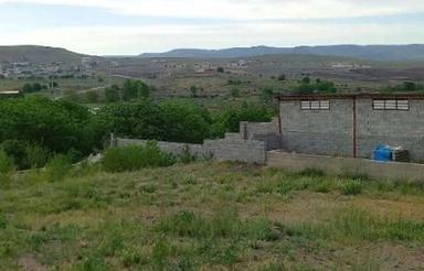 دامداری .اجاره یا همکاری