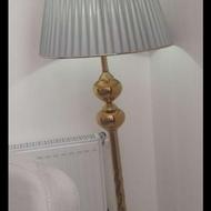 اباژور ایستاده سالم