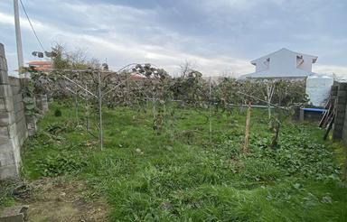 660 متر زمین مسکونی همراه باغ کیوی