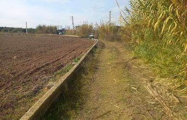 6000 متر زمین با مجوز گلخونه